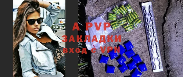 гидра Белокуриха