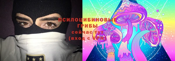 гидра Белокуриха