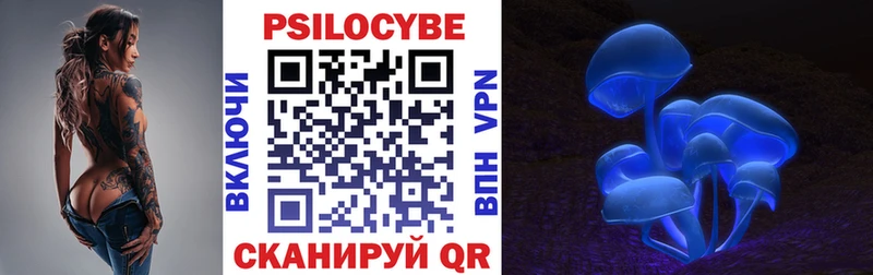 сколько стоит  Володарск  Галлюциногенные грибы MAGIC MUSHROOMS 
